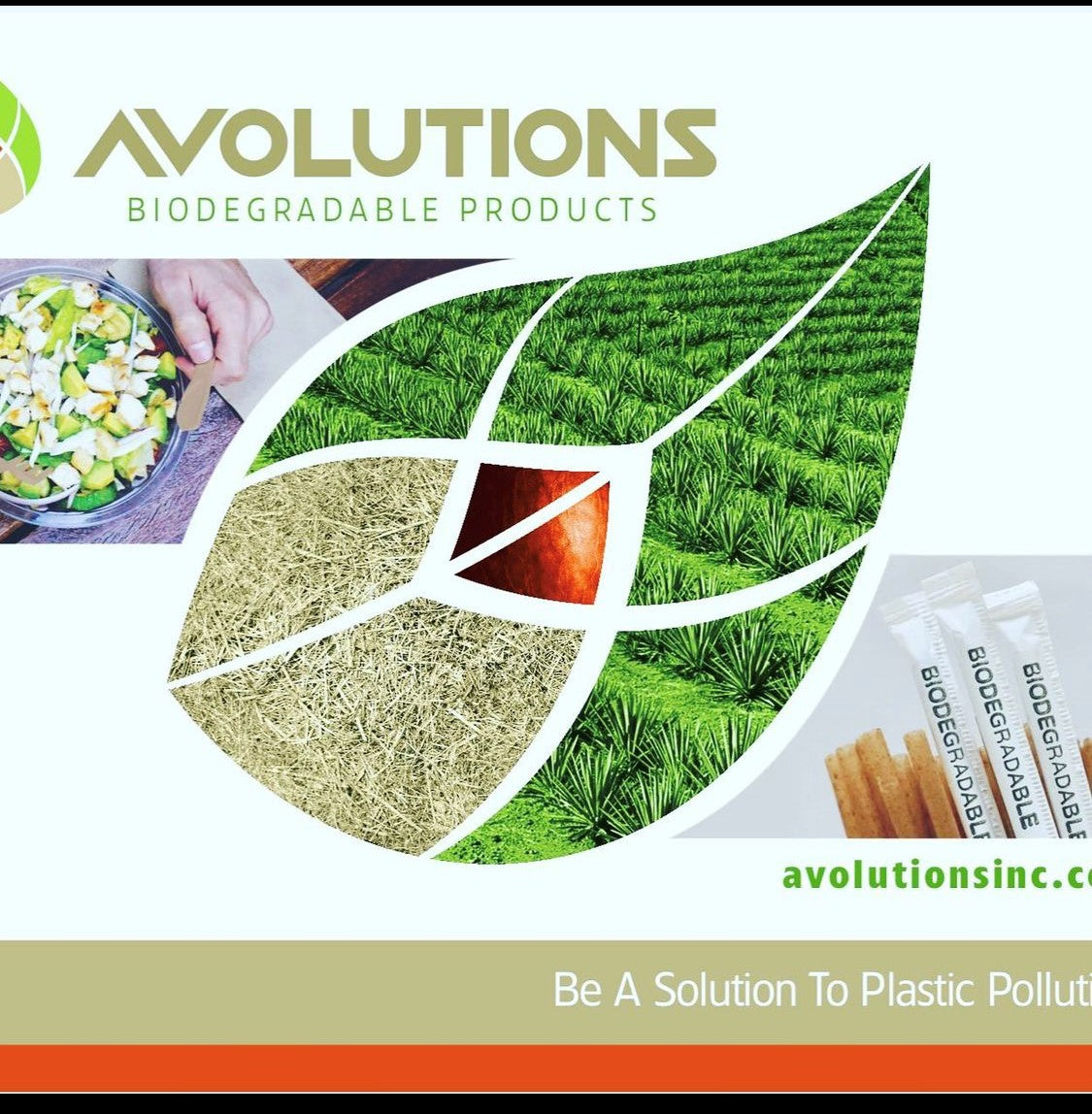 Giant Agave Biodegradable Straw 8.25 in (21 cm) Unwrapped (1200/case)
